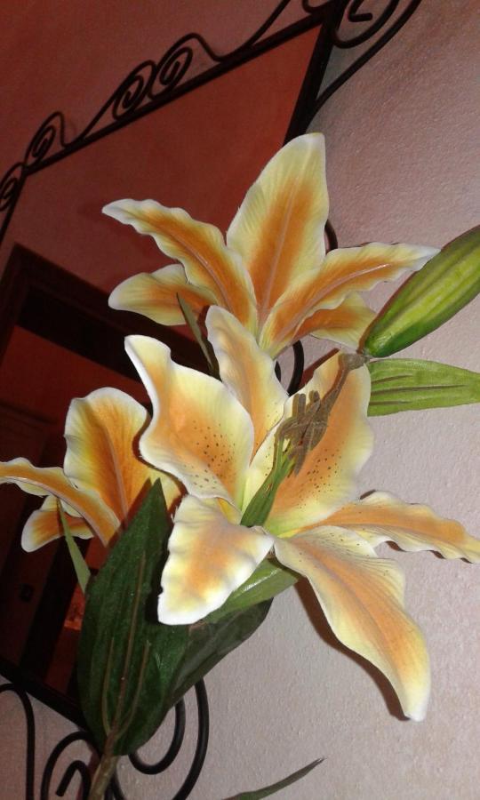 Il Giglio D'Oro Bed and Breakfast Arezzo Buitenkant foto